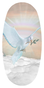 DASOV 116 D BZ Dove Clouds Bronze